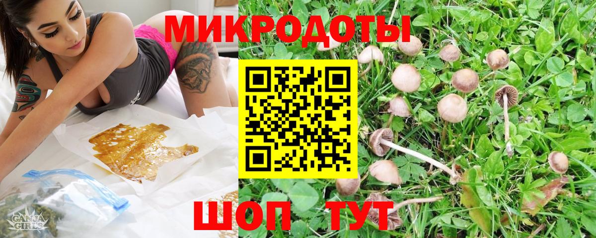 Псилоцибиновые грибы GOLDEN TEACHER Рязань