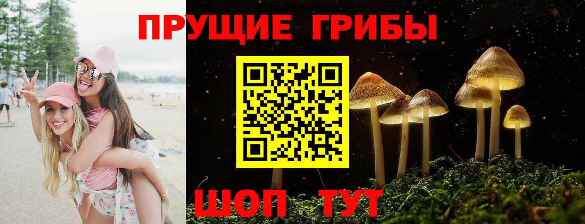 цены наркотик  Вход с VPN  Рязань  Псилоцибиновые грибы GOLDEN TEACHER 